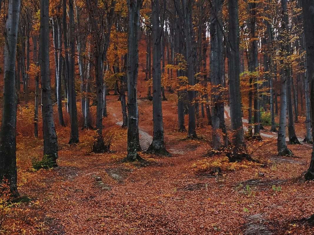 Pevnostní město Josefov